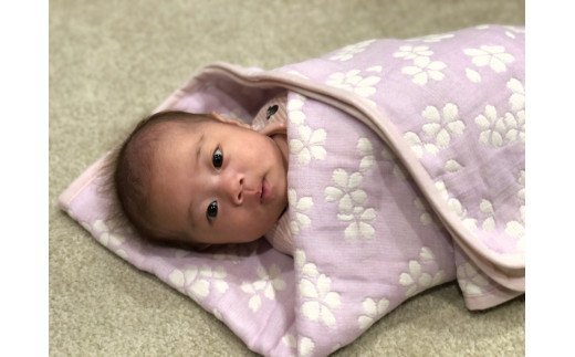 コットン ジャカード織 やわらか五重ガーゼひざ掛け 約70×100cm パープル色 FNG007 [3239]