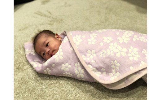 コットンジャカード織 五重ガーゼハーフケット 約100×140cm パープル色 FNG-008 [3241]