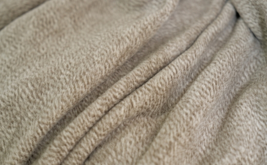 職人こだわりの逸品　日本製ご家庭で手洗いできるシルク混綿毛布（毛羽部分）シングルサイズ　FNM-025