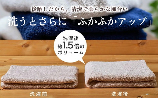 吸水力と肌触りが自慢のデイリーユース大判バスタオル 2枚セット 単色