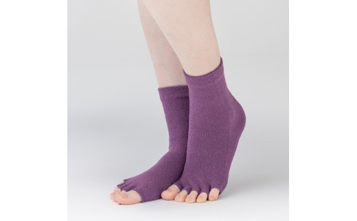 天然の美容繊維 シルク指汗さわやかソックス 同色2組 フリーサイズ H-SO1203X2