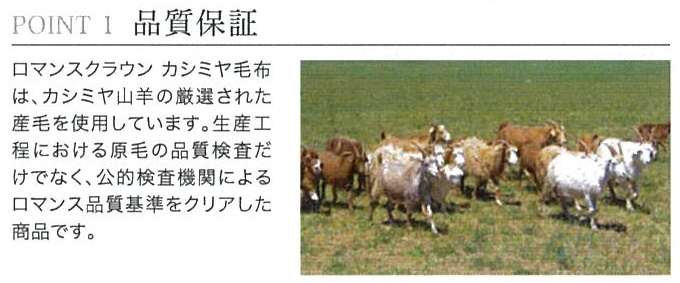 『ロマンスクラウン』 カシミヤ100%毛布（毛羽部分） ベージュ　ダブル　30207114