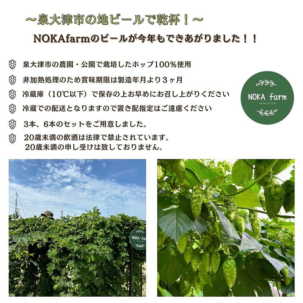 イズミ002（いずみおおつ） クラフト ビール ペールエール 330ml×6本 | 地ビール 贅沢 ビール ギフト 酒 お酒 ご当地ビール ※離島への配送不可 ※2025年12月下旬頃より順次発送