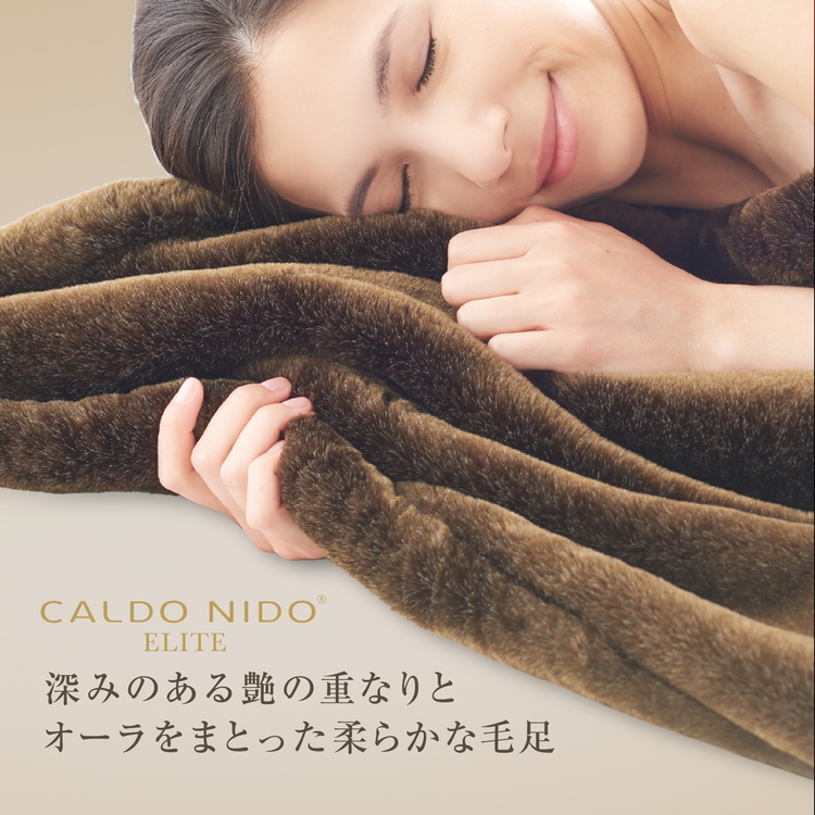 カルドニード・エリート 掛け毛布 ブラウン ダブル (180×200cm) 【db】[4221]