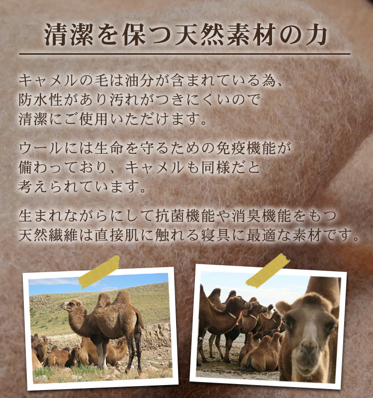 キャメル毛布 ミニひざ掛けサイズ [2168]