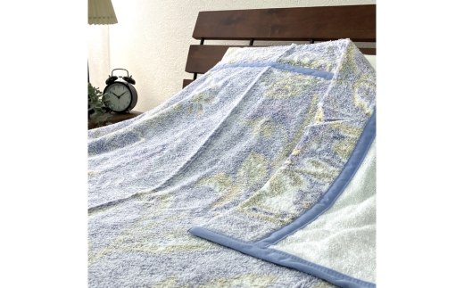 泉大津産 先白FBZ タオルケット シングル 140×200cm約1.3kg 1枚 S-13196 ※2025年8月上旬頃より順次発送予定