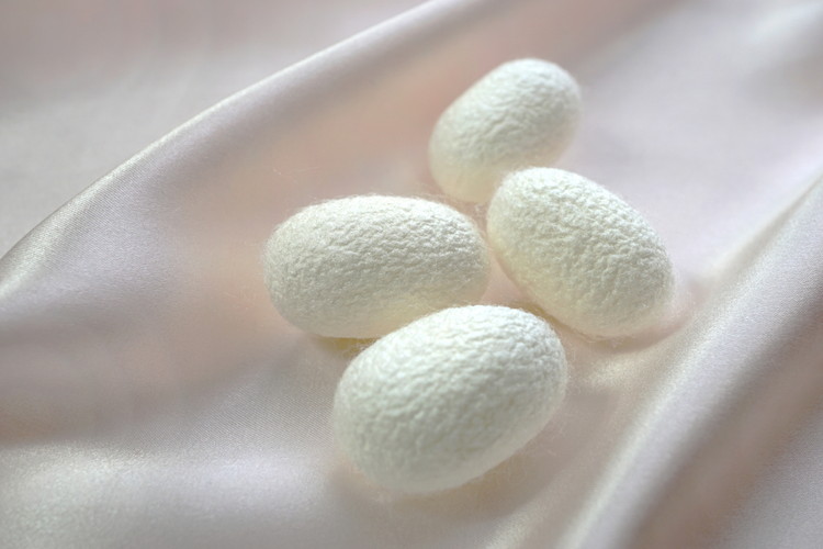 天然の美容繊維　UV対策シルクガーゼマスクネックウォーマー　H-NW1901