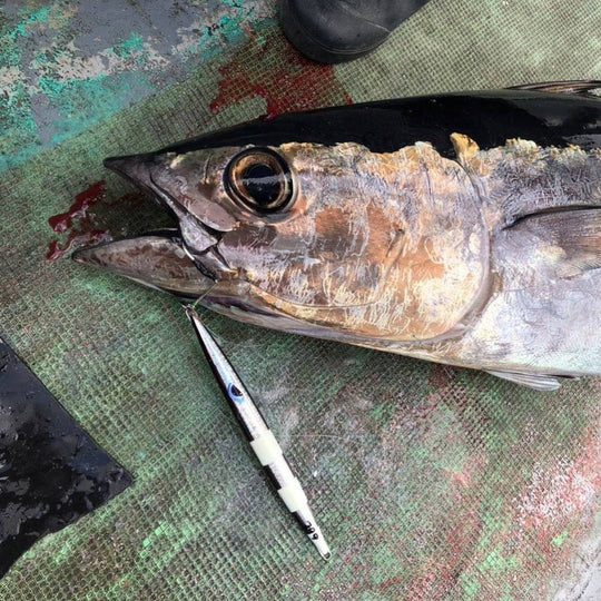 フィッシングマックスが開発する、完全現場視点のルアーブランド「AZZURRO」の、近海エリアをスピーディーにサーチ可能な万能メタルジグ。「フルボ300g」2本セット