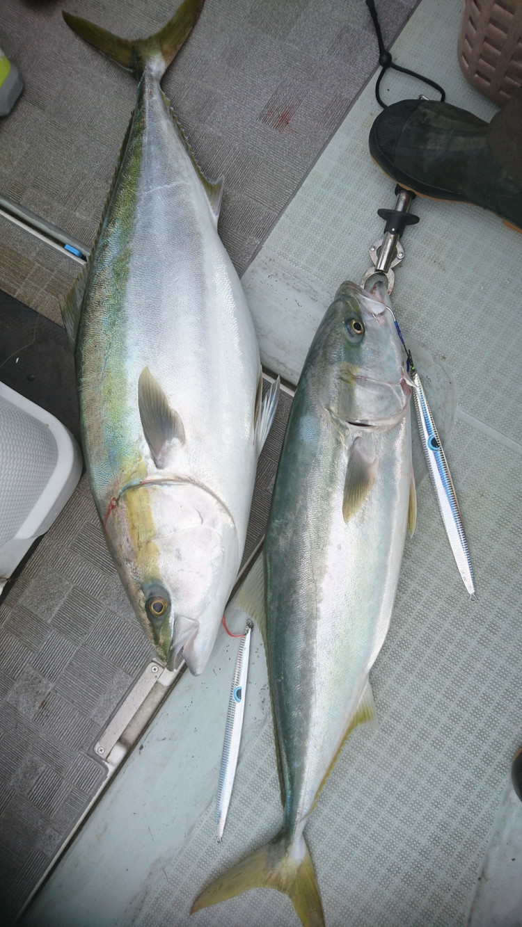 フィッシングマックスが開発する、完全現場視点のルアーブランド「AZZURRO」の、スロージギング対応 青物タチパターン『絶叫！ウォータースライダー系メタルジグ！』「ルンゴスライダー200g」2本セット