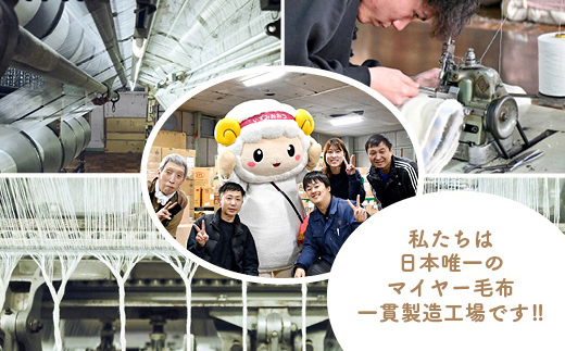 泉大津製 無着色 オーガニック コットン マイヤー毛布(毛羽部分)｜マイヤー 毛布 極上 肌ざわり 肌触り 吸水性 日本製 綿 100％ 毛布の町 ワンランク上 睡眠 熟睡 快眠 昼寝 寝具 品質基準 敬老の日 プレゼント ギフト 誕生日 記念日 大阪 泉大津[0743]