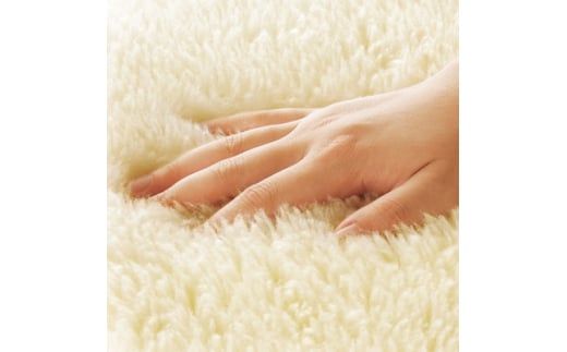 ザ・プレミアム ソフゥール 敷き毛布セミダブル (120×205cm)｜敬老の日 お歳暮 贈答品 ギフト 誕生日プレゼント 贈り物 父の日 母の日 クリスマス お見舞【db】 [0973]