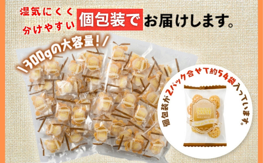 大人気！デュラム小麦のパスタスナック しお味 300g (約54個装) [4641]