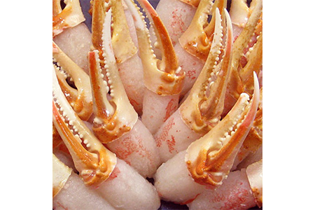 本ずわい蟹 カニ爪セット 800g [1610]