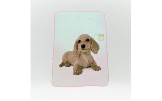 泉大津製 モイスチャー加工ハーフケット ダックスフンド犬 縦ピンク [0746]