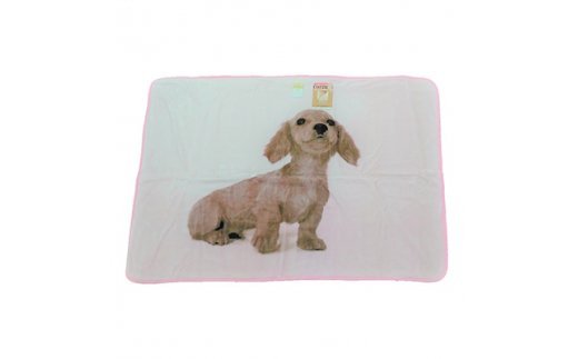 泉大津製 モイスチャー加工ハーフケット ダックスフンド犬 横ピンク [0748]