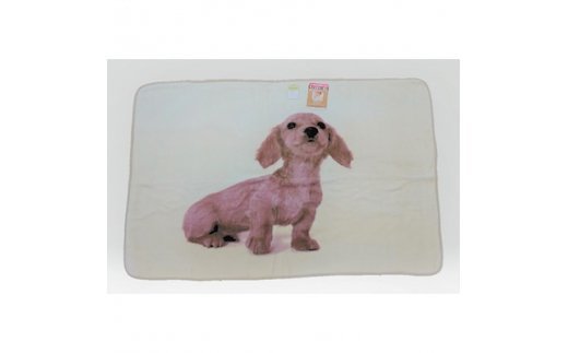 泉大津製 モイスチャー加工ハーフケット ダックスフンド犬 横ベージュ [0749]