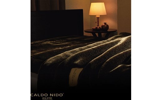 カルドニード・エリート 敷き毛布 シングル (100×205cm) [3960]