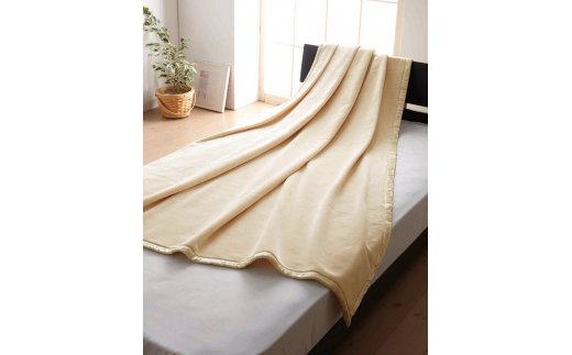 マイクロマティーク(R)使用 ダクロン(R)毛布 [シングル] アイボリー 1枚 KZ430136IV [1935]