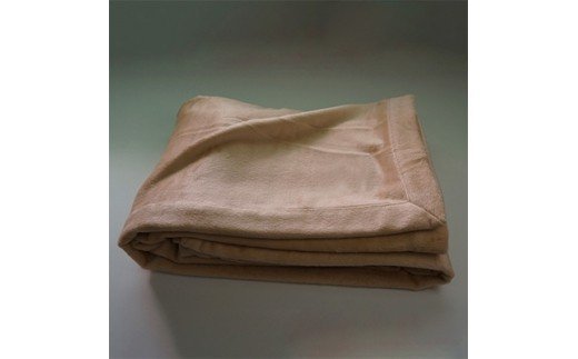 ペニーシルク毛布 シングル [4585]