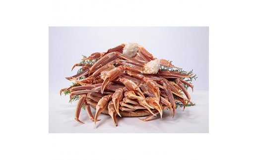 特大サイズ 生ズワイ蟹 5L 2kg [2919]