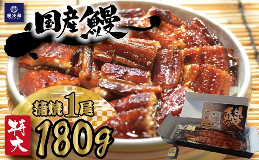 [特大] 国産 関西風地焼き うなぎ【蒲焼】1尾 180g以上 ｜ うなぎ 泉大津 鰻 蒲焼き 冷凍鰻 活鰻 鰻次郎 うな重 土用の丑の日 お取り寄せ 贈り物 ギフト 高級 うなぎの日 ウナギ unagi ※離島への配送不可