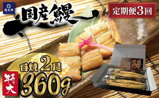 【定期便3ヶ月】[特大] 国産 関西風地焼き うなぎ【白焼】 2尾 360g以上 ｜ うなぎ 泉大津 鰻 蒲焼き 冷凍鰻 活鰻 鰻次郎 うな重 土用の丑の日 お取り寄せ 高級 うなぎの日 ウナギ unagi ※離島への配送不可