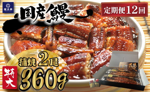 【定期便12ヶ月】 [特大] 国産 関西風地焼き うなぎ【蒲焼】2尾 360g以上 ｜ うなぎ 泉大津 鰻 蒲焼き 冷凍鰻 活鰻 鰻次郎 うな重 土用の丑の日 お取り寄せ 高級 うなぎの日 ウナギ unagi ※離島への配送不可