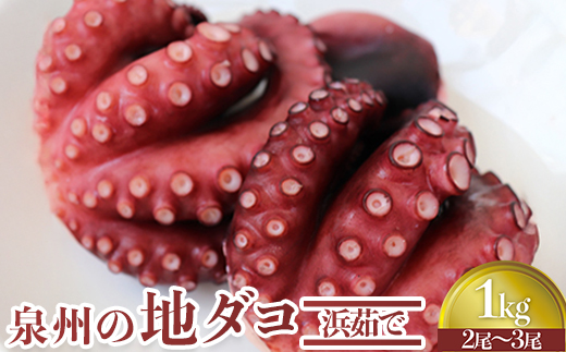 泉州の地ダコ1kg(2尾～3尾) [0530]