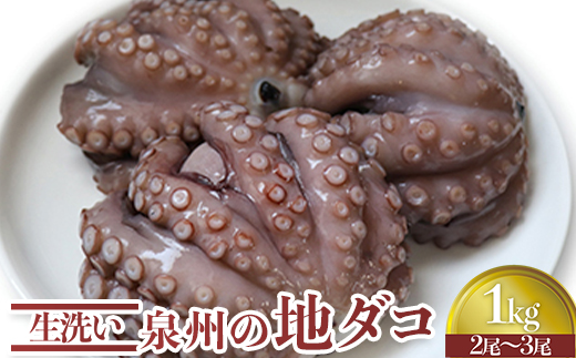 生洗い泉州の地タコ1kg(2尾～3尾) [0531]