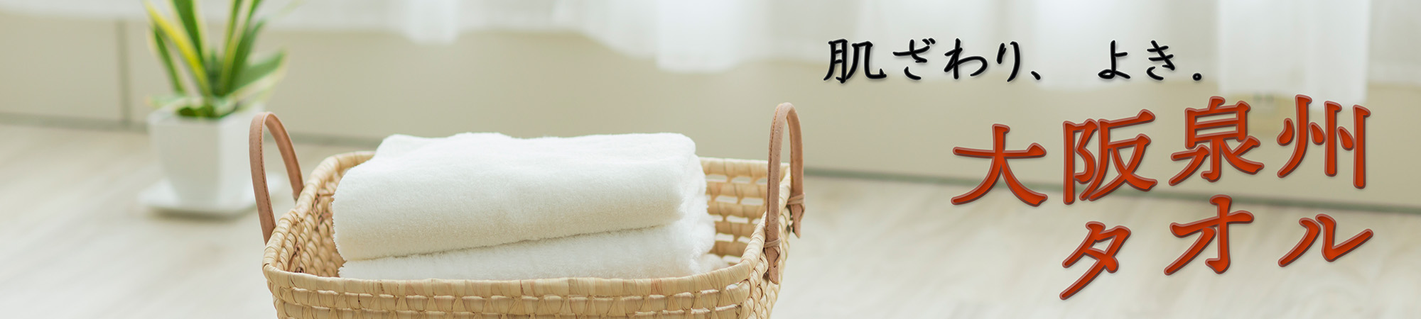タオル特集