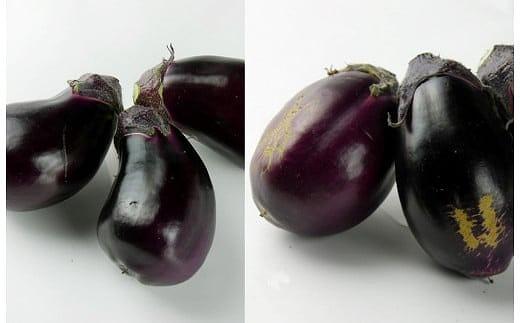 ＜先行予約＞北野農園【農家直送】ワケあり泉州水なす20個