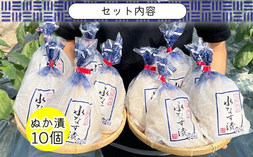 ＜先行予約＞北野農園　泉州水なすぬか漬10個