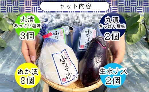 ＜先行予約＞北野農園　泉州水なす４種１０個セット