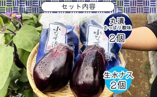 ＜先行予約＞北野農園　泉州水なす丸漬酸味２個＋生水なす２個