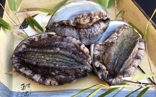 老舗料理屋がお届けする【国産】鮑(あわび)の柔らか煮 2個入り