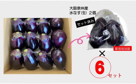 ＜先行予約＞大阪泉州水なす(生)12個