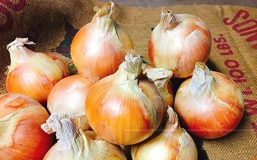 ＜2026年5月下旬発送＞泉州玉ねぎミックスサイズ５kg　保存用ネット付