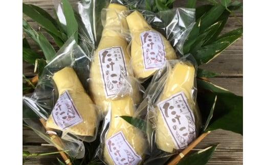 ＜2026年3月下旬発送予定＞【生産者直送・貝塚市木積産】朝掘り竹の子水煮 １kg