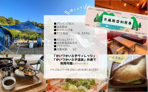 かいづかいぶきリゾート全施設共通利用券　3,000円分