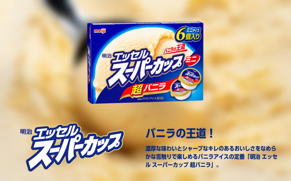 明治 エッセル スーパーカップミニ 超バニラ 80ml × 6個　８箱