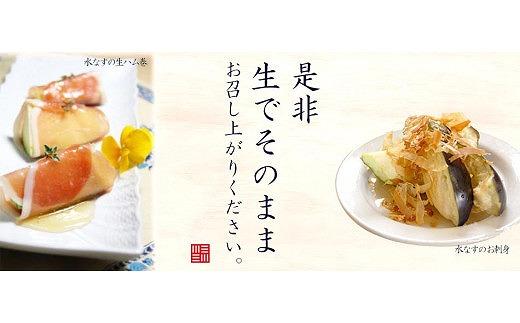 ＜先行予約＞北野農園【農家直送】ワケあり泉州水なす20個