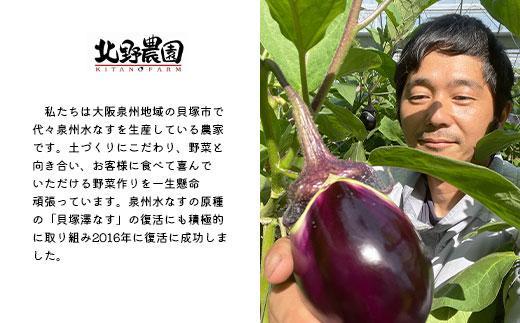 ＜先行予約＞北野農園　泉州水なす丸漬塩味２個＋生水なす２個