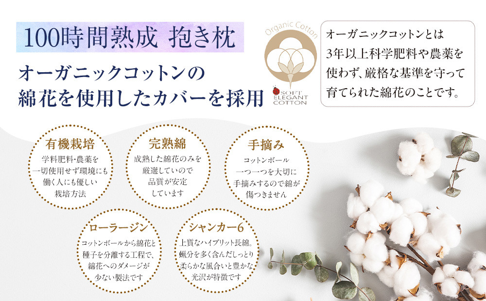 「100時間熟成　抱き枕」和晒しオーガニックコットンＵ型 (アイボリー)