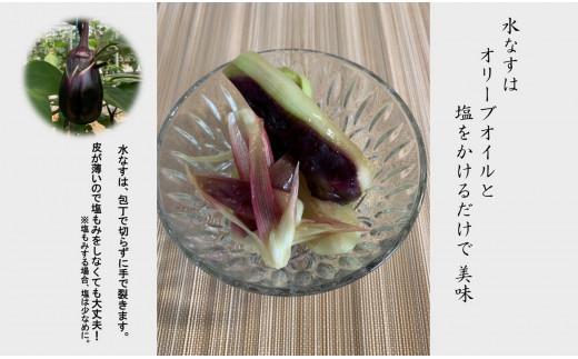 ＜先行予約＞大阪泉州水なす(生)12個