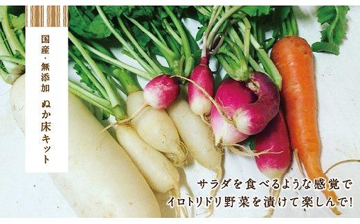 中出農園　ぬか床キット（タッパー容器）1.4kg