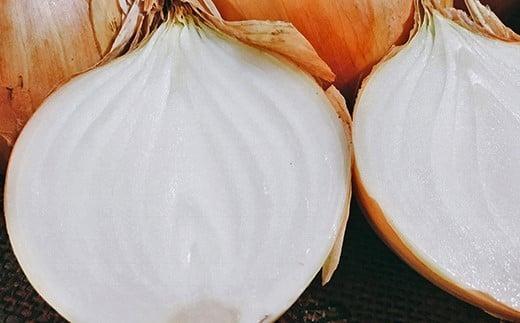 ＜2026年5月下旬発送＞泉州玉ねぎ５kg　保存用ネット付