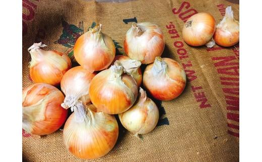 ＜2026年5月下旬発送＞泉州玉ねぎ3キロ＆川尻さんちのやみつきポン酢