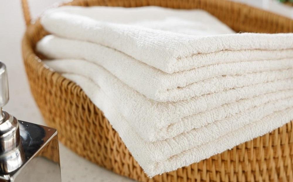 【無漂白・無蛍光・無染色】フェイスタオル10枚 日本製 自然派ナチュラル コットン100％ 泉州タオル 薄手 速乾