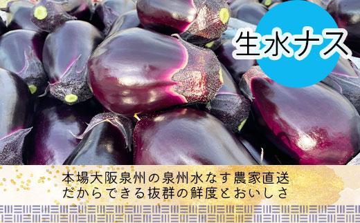＜先行予約＞北野農園　泉州水なす丸漬塩味２個＋生水なす２個