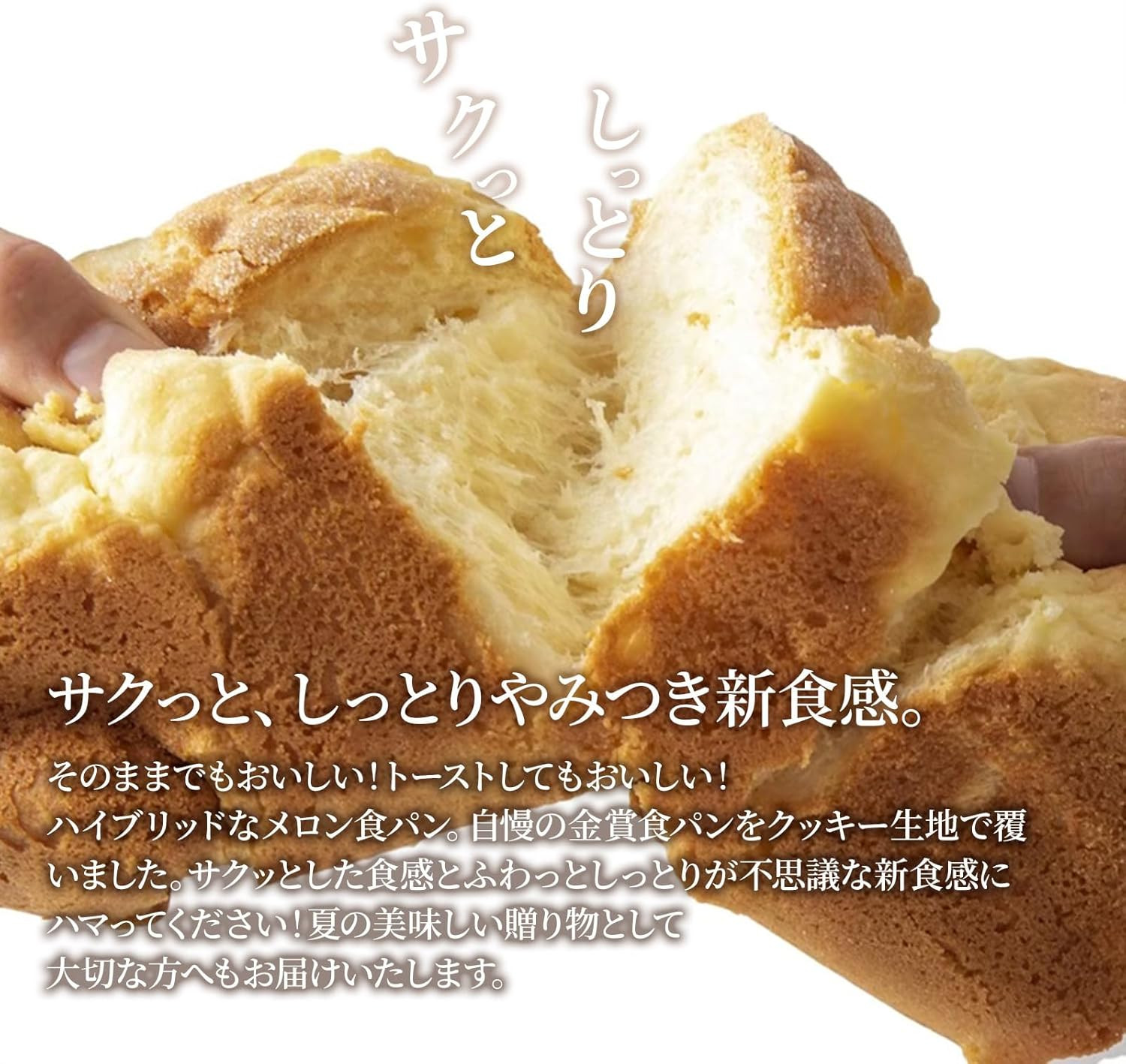 ＜定期便全3回＞【国産小麦使用】高級金賞食パン メロン 2本セット